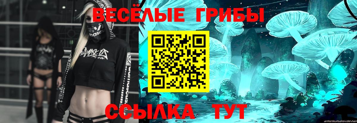 Галлюциногенные грибы прущие грибы Магадан